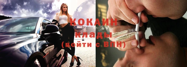 крисы Михайловск