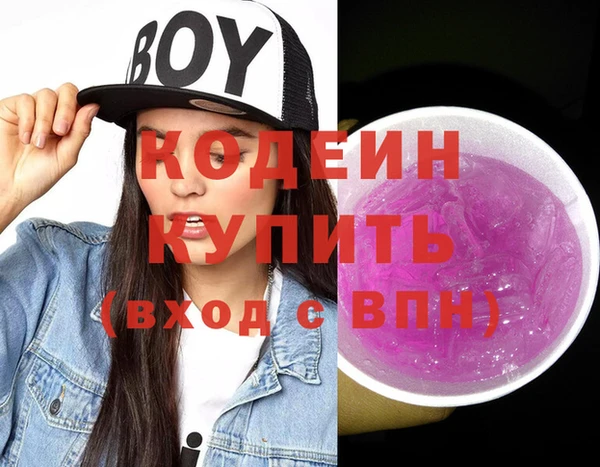 хмурый Мегион