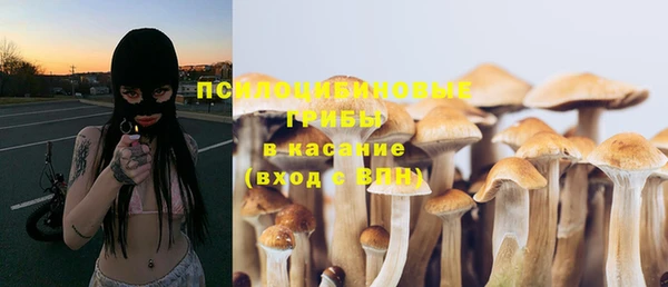 хмурый Мегион