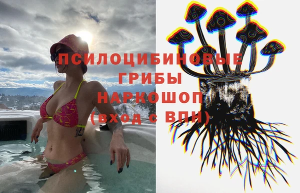 МДПВ Медногорск