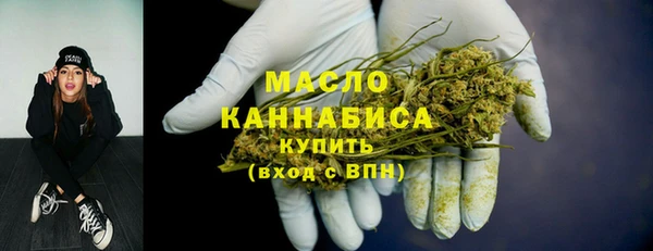 МДПВ Михайлов