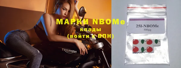 хмурый Мегион